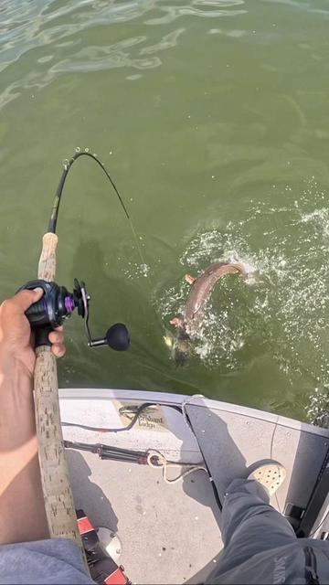 @Dkam Fishing (NJ)