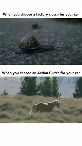 @Action Clutch