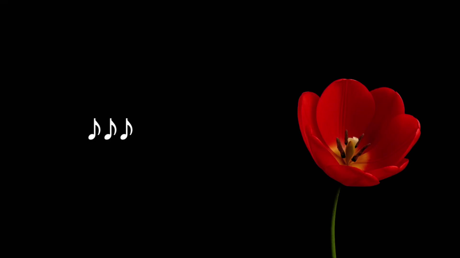 @𝐋𝐲𝐧𝐱.