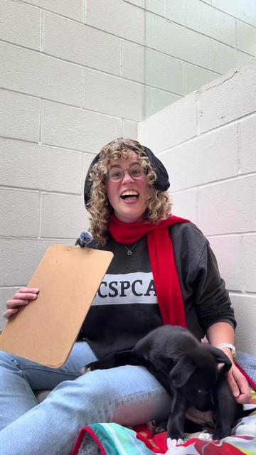 @BC SPCA