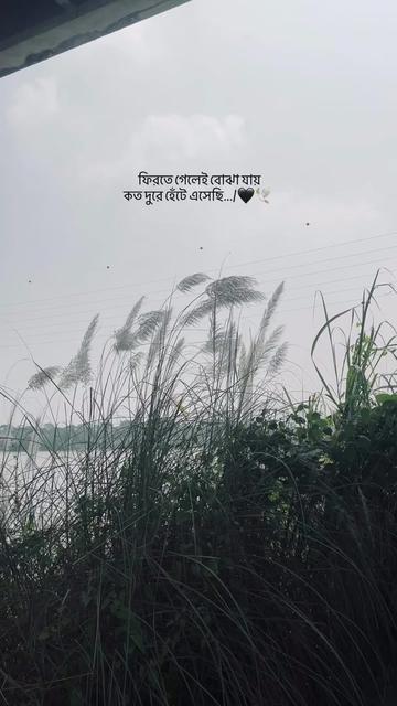 @𓆩🇧🇩𝐒𝐀𝐙𝐙🇪🇦𓆪