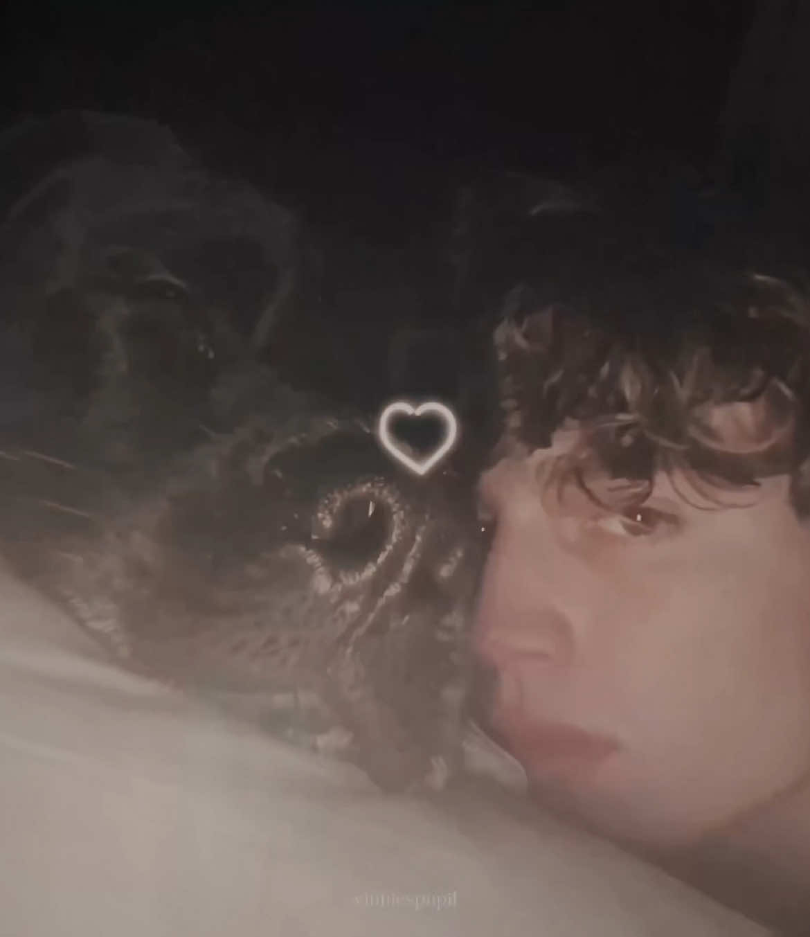 @𝜗𝜚⋆₊˚