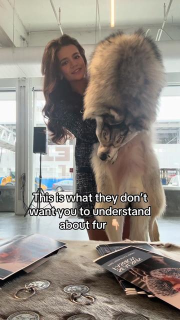 @thefurgoddess