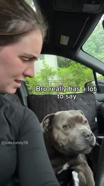 @Funny Animals😽🐶❤️