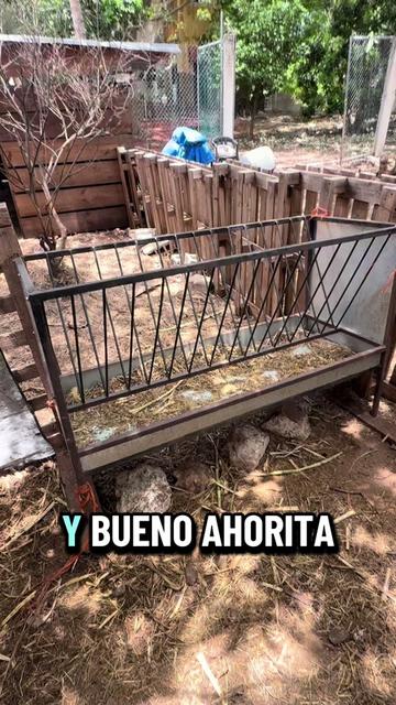 @José Ramón Medina