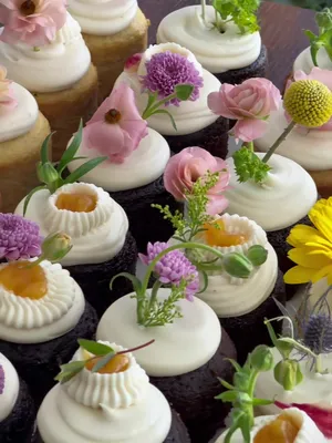 @Fariha | Its Sugarlicious