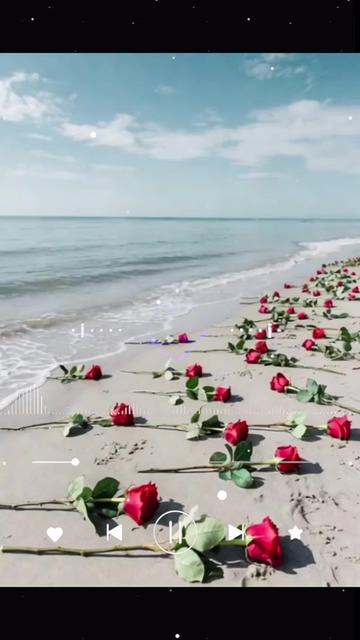 @ASiYE🌸⚘️🌻