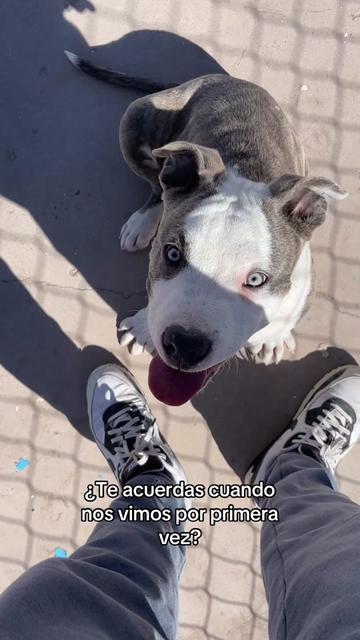 @Aleksito