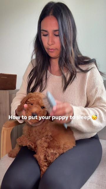@Pupwell