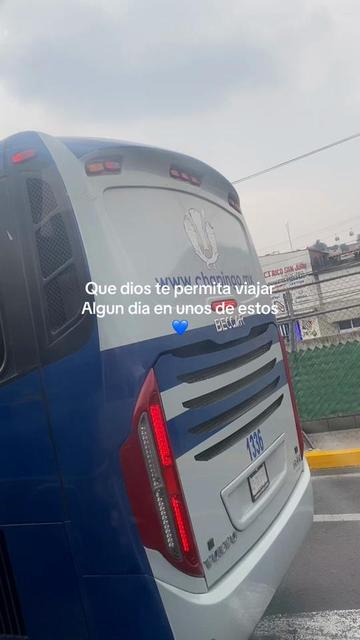 @Sofi Mora
