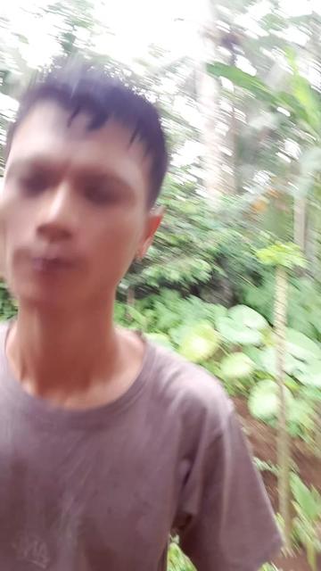 @ALFAQIH REVIEW89