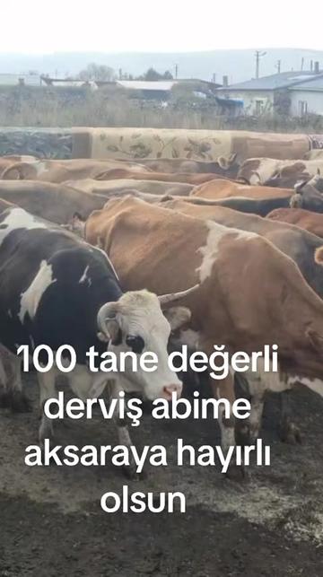 @tekin75aras2