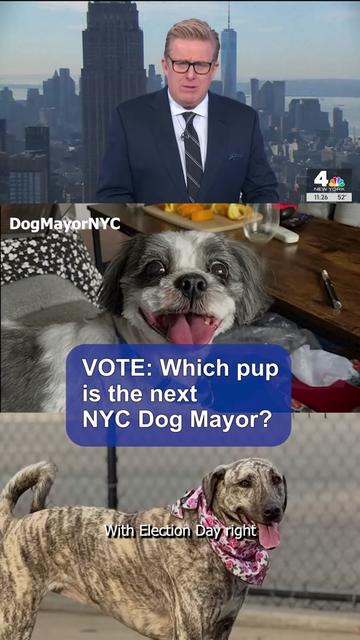 @NBC New York