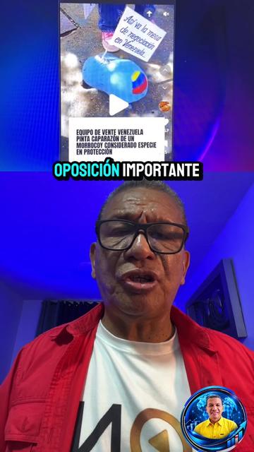 @Luis Elvis Oficial