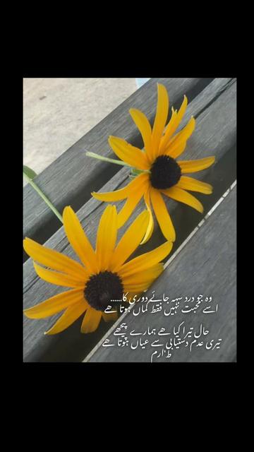 @🇨🇵ارم🇵🇰