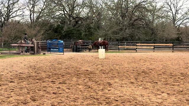 @HD Performance Horses