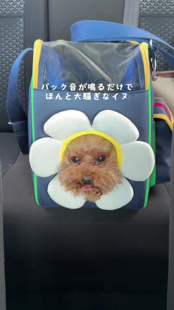 @ããð«ð§ž