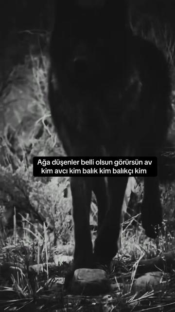 @çılgın 🚴♂️🇹🇷🫡