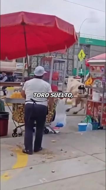 @Charlygalleta