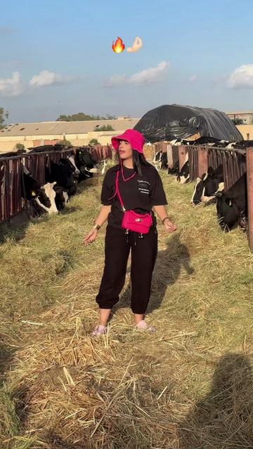 @🔥نار🔥 🐦&zwj;🔥🇹🇳🇦🇪
