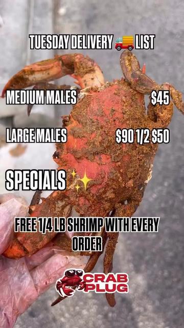 @Crabplug&rsquo;s