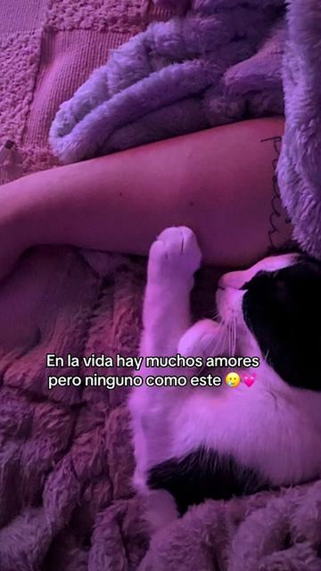 @Luna🌙 y Sol☀️