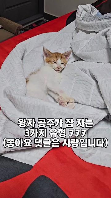 @๐ฉ์ด์์ฌ×234๐ฉ