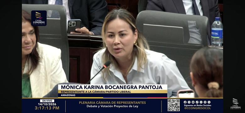 @Karina Bocanegra Pantoja