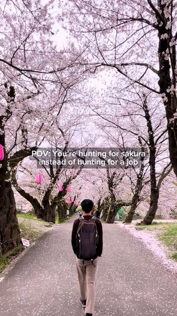 @stanthejapanman / Japan Travel