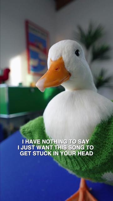 @ducks_in_space🪿🪿💦