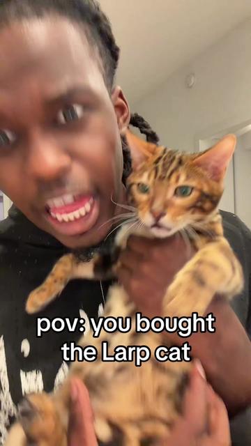 @calithekid