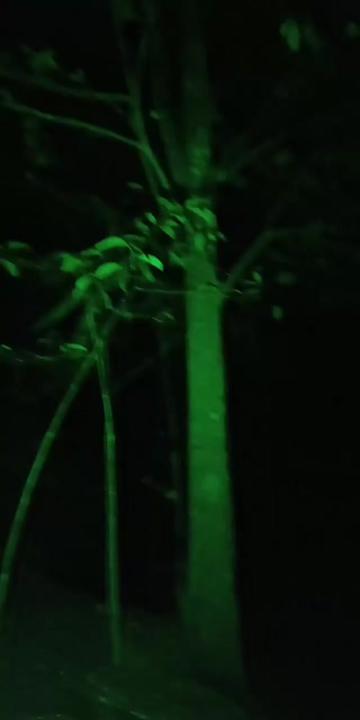 @KI 𝐋𝐞𝐧𝐝𝐫𝐚wijaya781