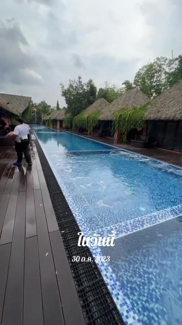 @Cactus คนมันยอง🌵