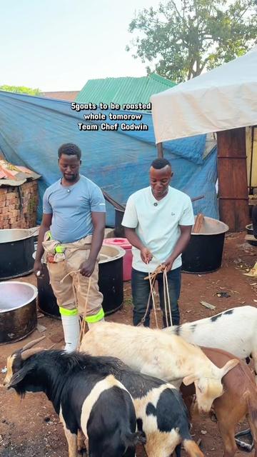 @CHEF JOSE MESIAH