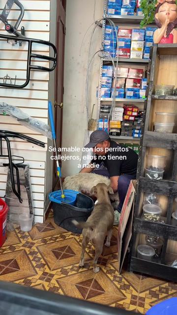 @Cabezotas 🐶