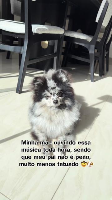 @Juliana Tanous