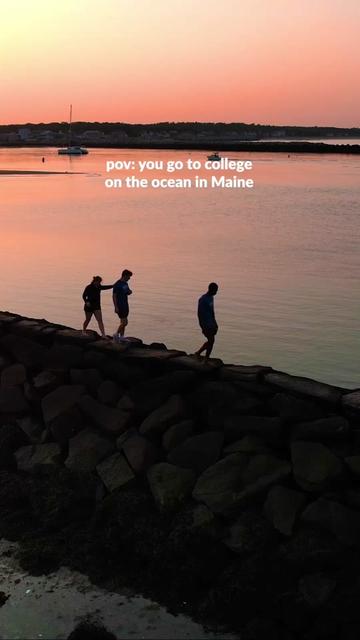 @UNE Admissions