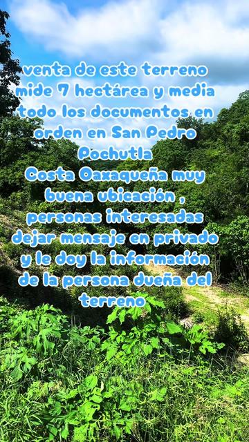 @caballeroviajero0317