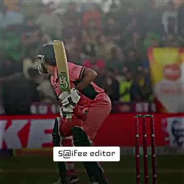 @S@ifee editor