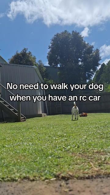 @Banjo