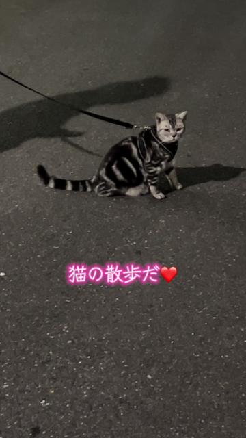 @Kaoru Nakajima123
