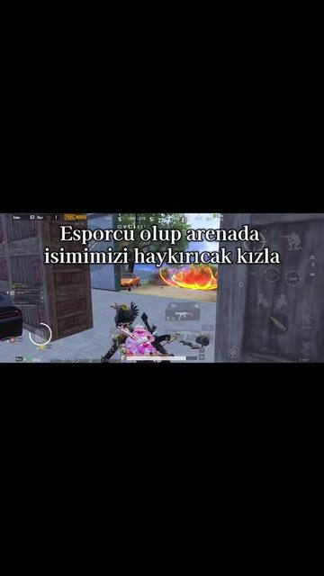 @Shino9W