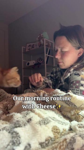 @MyStrayCheese
