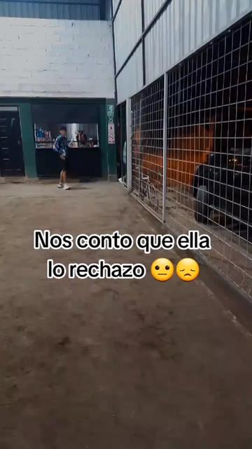 @cachitoecuavoley