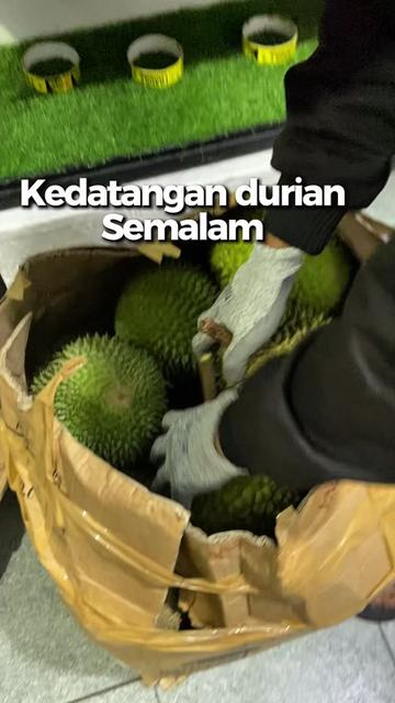 @CICIP DURIAN