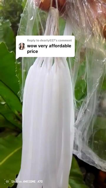 @Evelyn Cornetes