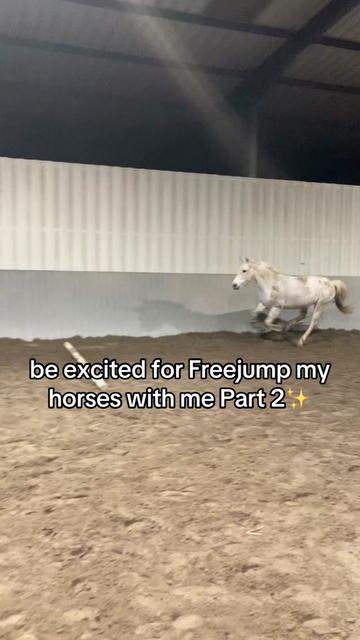 @SchimmelponyParadise