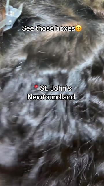 @Braider Newfoundland/Labrador