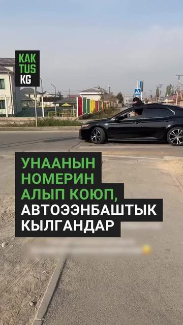 @Kaktus KG