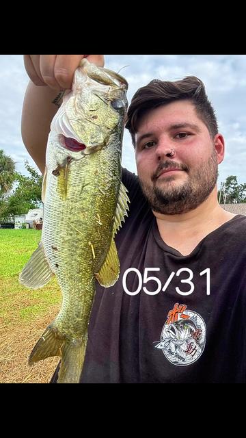 @Noctis JDM Fishing